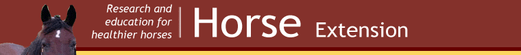 horse project banner