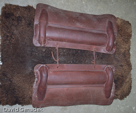 Minnesota Horse Expo 2010