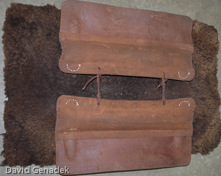 Minnesota Horse Expo 2010