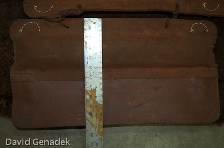 Minnesota Horse Expo 2010