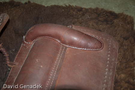 Minnesota Horse Expo 2010