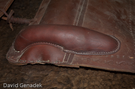 Minnesota Horse Expo 2010