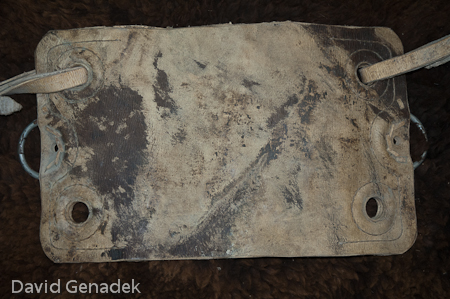 Minnesota Horse Expo 2010