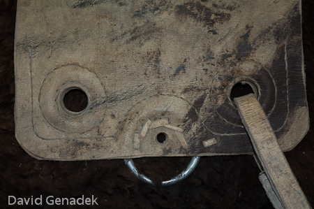 Minnesota Horse Expo 2010