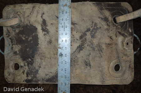 Minnesota Horse Expo 2010