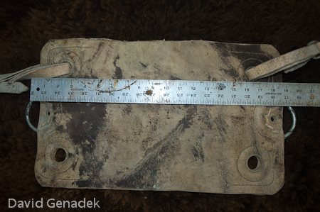 Minnesota Horse Expo 2010