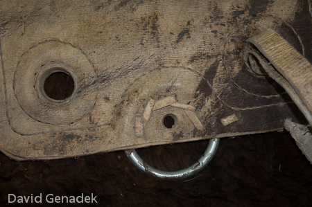 Minnesota Horse Expo 2010