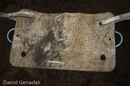 Minnesota Horse Expo 2010