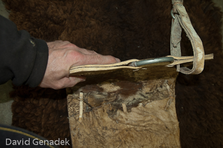 Minnesota Horse Expo 2010