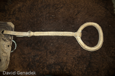 Minnesota Horse Expo 2010