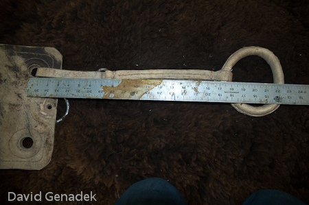 Minnesota Horse Expo 2010