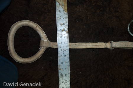 Minnesota Horse Expo 2010