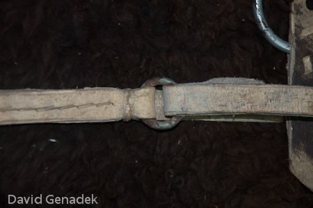 Minnesota Horse Expo 2010