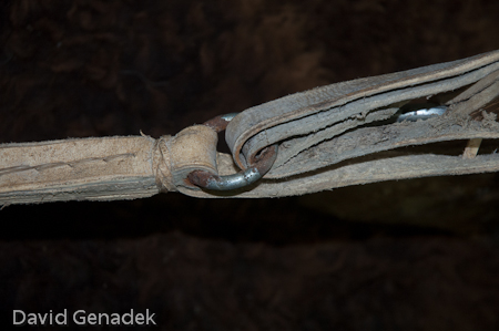 Minnesota Horse Expo 2010