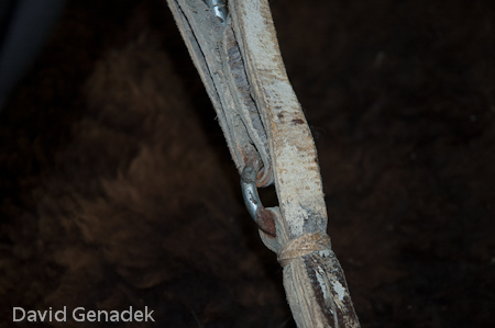 Minnesota Horse Expo 2010