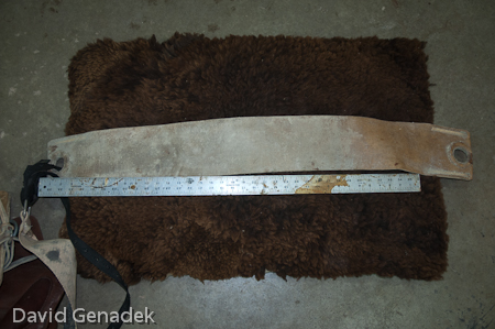 Minnesota Horse Expo 2010