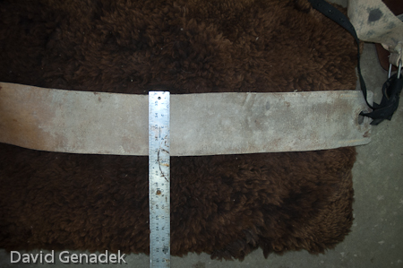 Minnesota Horse Expo 2010