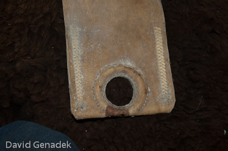 Minnesota Horse Expo 2010