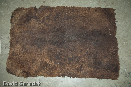 Minnesota Horse Expo 2010