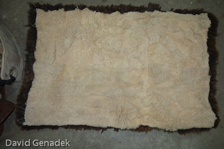 Minnesota Horse Expo 2010