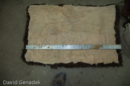 Minnesota Horse Expo 2010