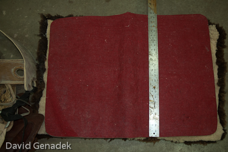 Minnesota Horse Expo 2010