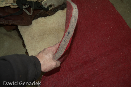 Minnesota Horse Expo 2010