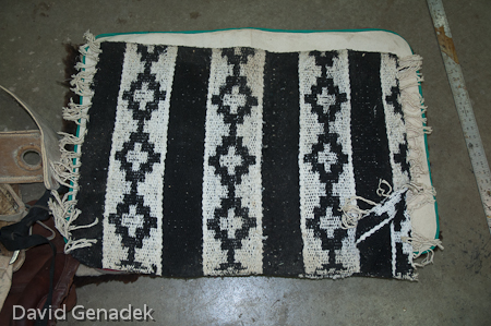 Minnesota Horse Expo 2010